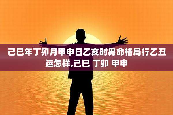 己巳年丁卯月甲申日乙亥时男命格局行乙丑运怎样,己巳 丁卯 甲申