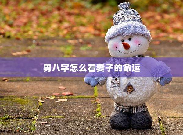 男八字怎么看妻子的命运