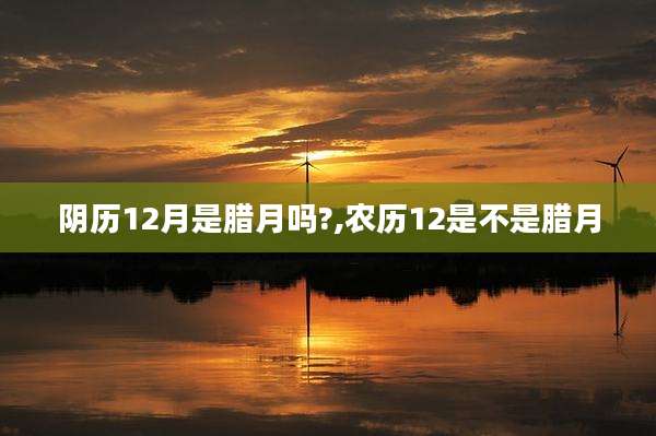 阴历12月是腊月吗?,农历12是不是腊月
