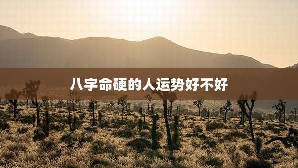 八字命硬的人运势好不好
