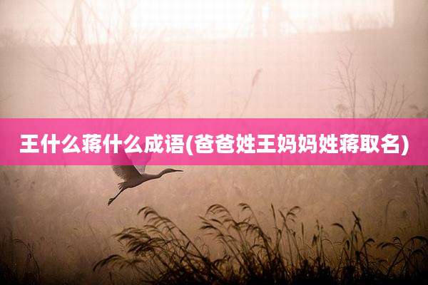 王什么蒋什么成语(爸爸姓王妈妈姓蒋取名)