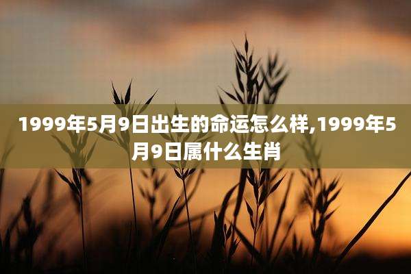 1999年5月9日出生的命运怎么样,1999年5月9日属什么生肖