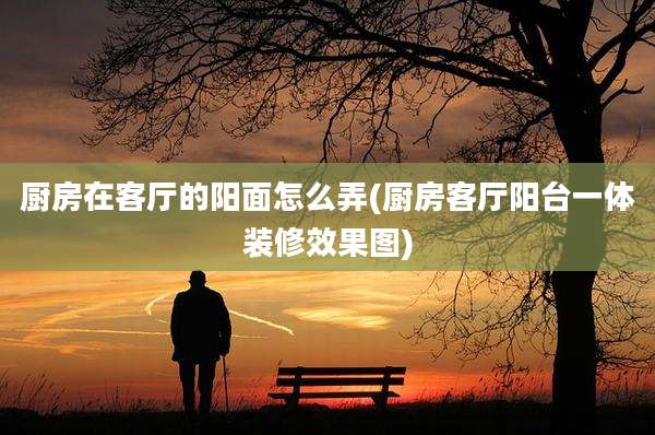 厨房在客厅的阳面怎么弄(厨房客厅阳台一体装修效果图)