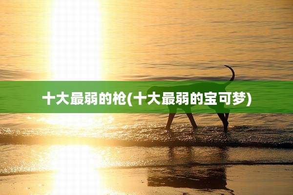 十大最弱的枪(十大最弱的宝可梦)