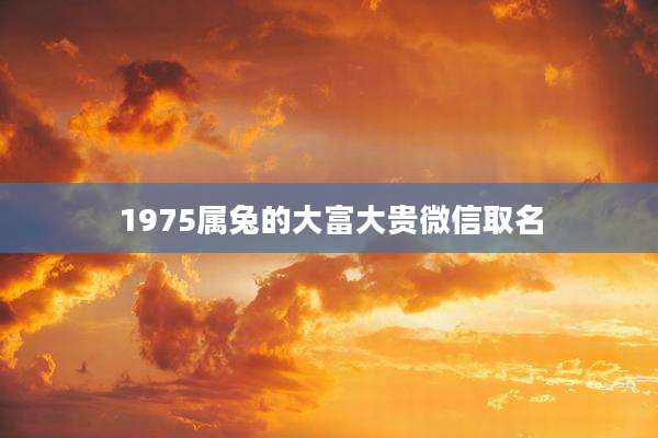 1975属兔的大富大贵微信取名