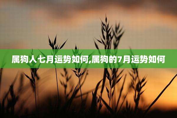 属狗人七月运势如何,属狗的7月运势如何