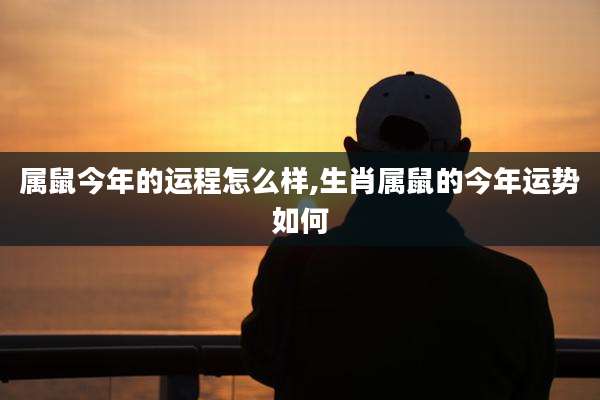 属鼠今年的运程怎么样,生肖属鼠的今年运势如何
