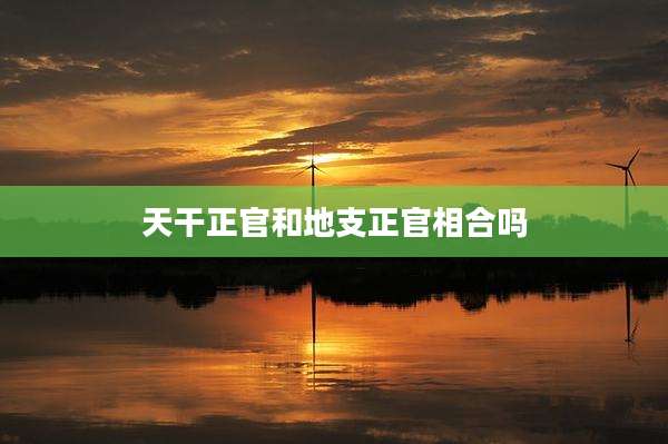 天干正官和地支正官相合吗