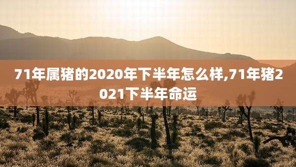 71年属猪的2020年下半年怎么样,71年猪2021下半年命运