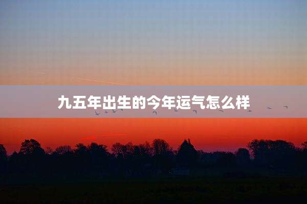 九五年出生的今年运气怎么样