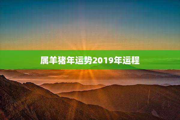 属羊猪年运势2019年运程