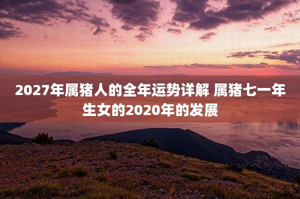 2027年属猪人的全年运势详解 属猪七一年生女的2020年的发展