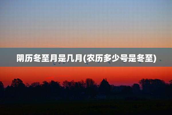 阴历冬至月是几月(农历多少号是冬至)