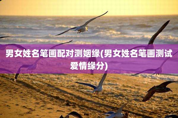 男女姓名笔画配对测姻缘(男女姓名笔画测试爱情缘分)