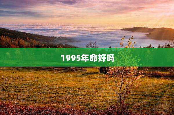 1995年命好吗