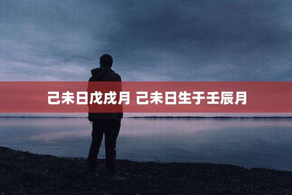 己未日戊戌月 己未日生于壬辰月