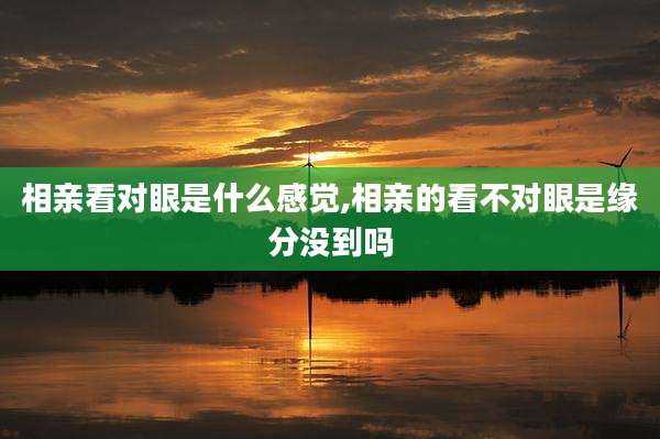 相亲看对眼是什么感觉,相亲的看不对眼是缘分没到吗