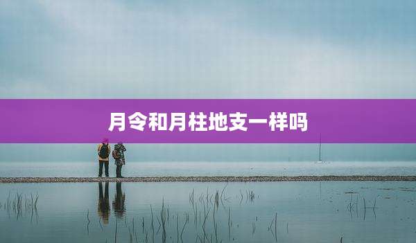 月令和月柱地支一样吗