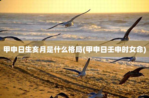 甲申日生亥月是什么格局(甲申日壬申时女命)