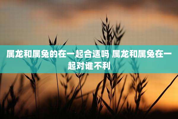 属龙和属兔的在一起合适吗 属龙和属兔在一起对谁不利
