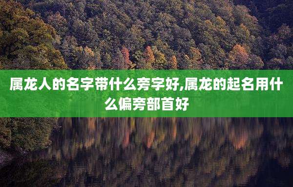 属龙人的名字带什么旁字好,属龙的起名用什么偏旁部首好