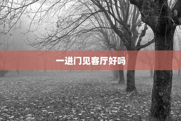 一进门见客厅好吗