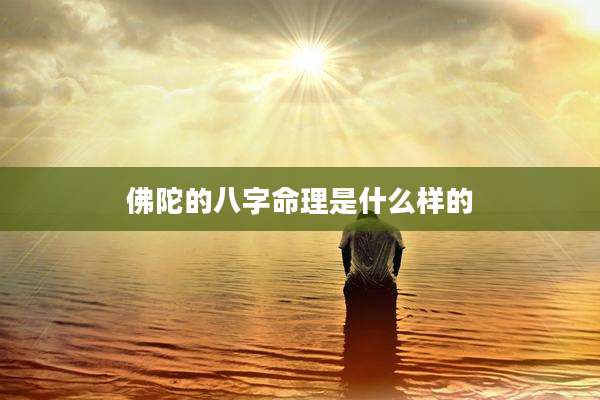 佛陀的八字命理是什么样的