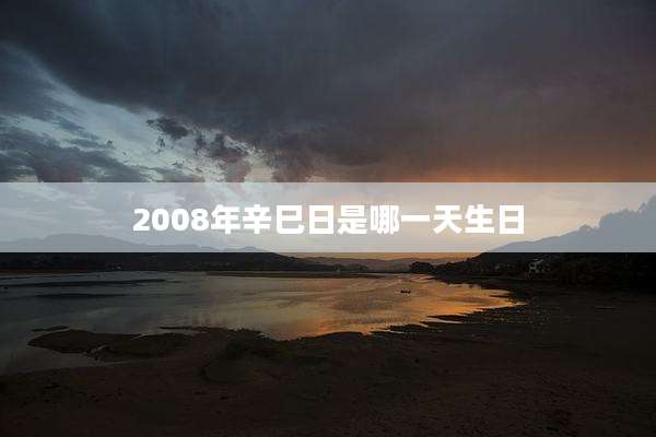 2008年辛巳日是哪一天生日