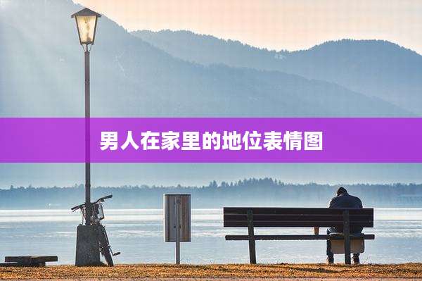 男人在家里的地位表情图