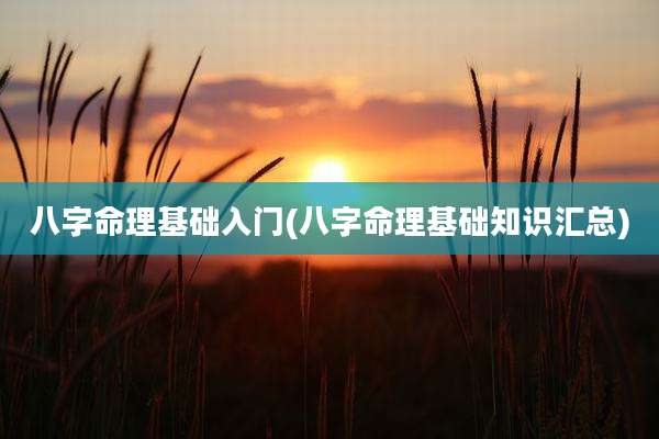 八字命理基础入门(八字命理基础知识汇总)