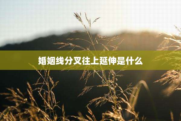 婚姻线分叉往上延伸是什么