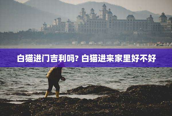 白猫进门吉利吗? 白猫进来家里好不好