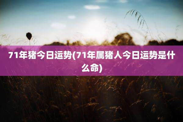 71年猪今日运势(71年属猪人今日运势是什么命)