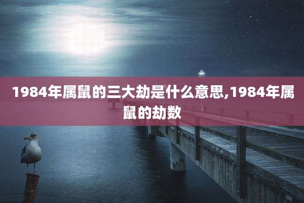 1984年属鼠的三大劫是什么意思,1984年属鼠的劫数