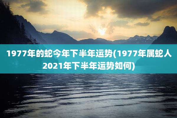 1977年的蛇今年下半年运势(1977年属蛇人2021年下半年运势如何)