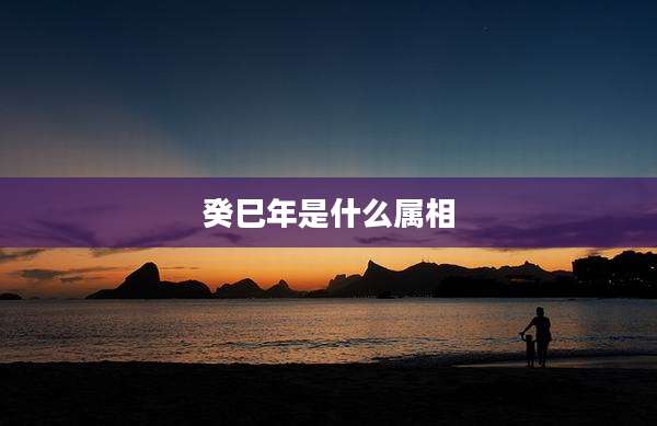 癸巳年是什么属相