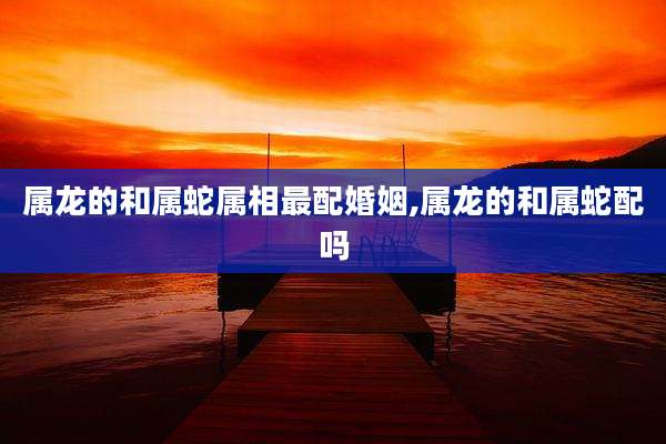 属龙的和属蛇属相最配婚姻,属龙的和属蛇配吗