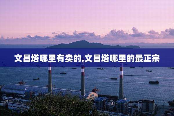 文昌塔哪里有卖的,文昌塔哪里的最正宗