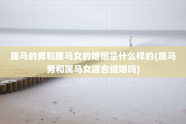 属马的男和属马女的婚姻是什么样的(属马男和属马女适合结婚吗)