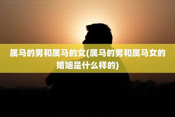 属马的男和属马的女(属马的男和属马女的婚姻是什么样的)
