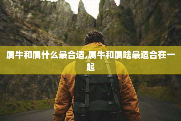 属牛和属什么最合适,属牛和属啥最适合在一起