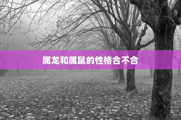 属龙和属鼠的性格合不合