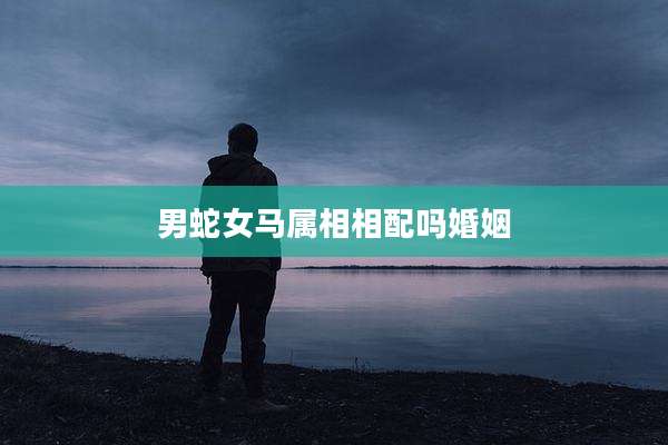 男蛇女马属相相配吗婚姻