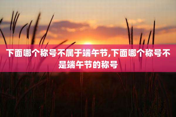 下面哪个称号不属于端午节,下面哪个称号不是端午节的称号