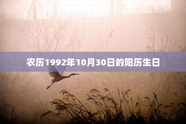农历1992年10月30日的阳历生日
