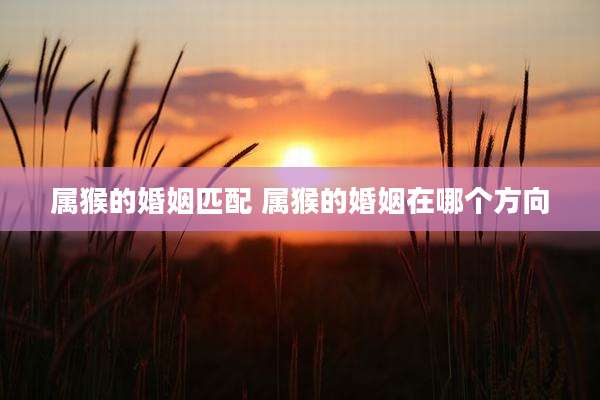 属猴的婚姻匹配 属猴的婚姻在哪个方向