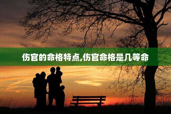 伤官的命格特点,伤官命格是几等命