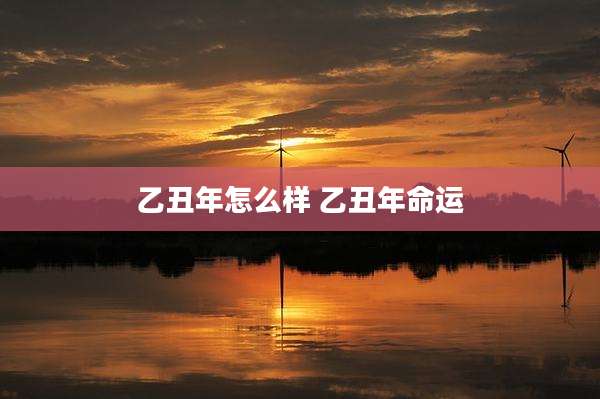 乙丑年怎么样 乙丑年命运