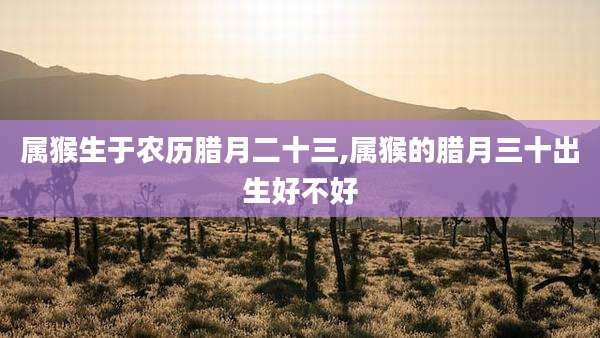 属猴生于农历腊月二十三,属猴的腊月三十出生好不好