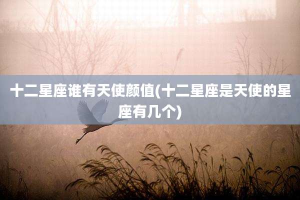 十二星座谁有天使颜值(十二星座是天使的星座有几个)